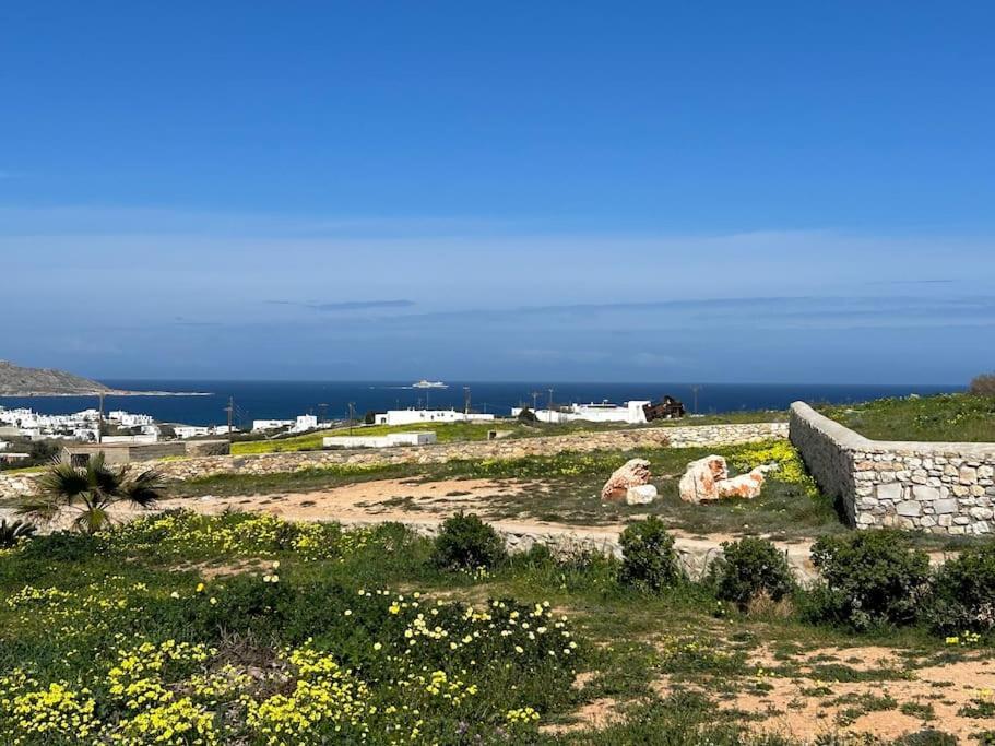 Aretousa Residence In Naoussa, Paros Εξωτερικό φωτογραφία